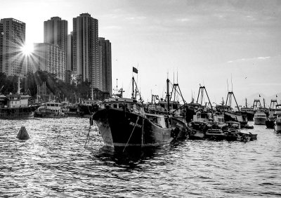 Fishing Trawler fleet.  Aberdeen, Hong Kong Island