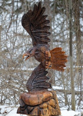 Soaring eagle complete