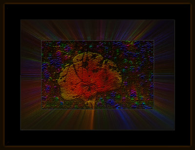 937_=_529A7142.jpg