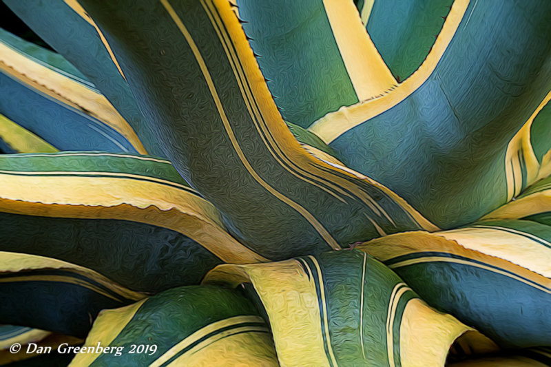 Agave Abstract