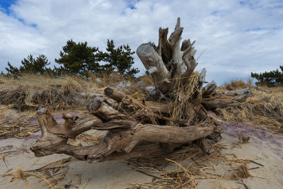 _DSC9958.jpg