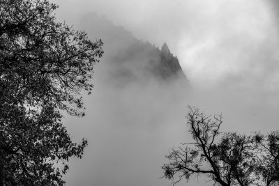 Yosemite in the mist