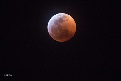 Blood Moon: Total Lunar Eclipse viewed from Houston, TX.