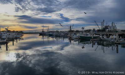 Tuna Harbor Sunrise