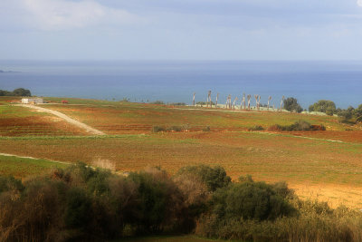 Algeria had a lot of farmland.