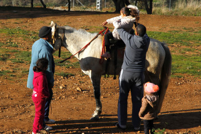 Back on the coach, we went a short ways to the Royal Mausoleum.  There were donkey rides. 