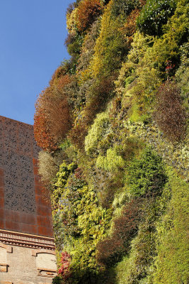 Caixa Forum British Museum had an awesome wall of vegetation