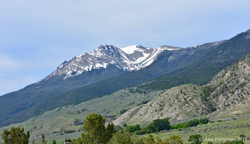 Gallatin Range