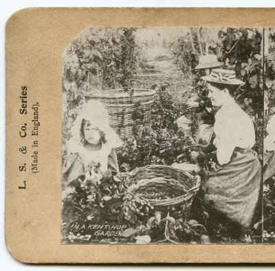 Victorian Stereoview