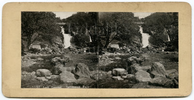 Victorian Stereoview Photo