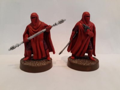 Imperial Guards 1.jpg