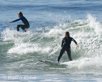 Surfer girl e 1-25-19 (2) CC AI w.jpg