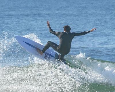 Surfers 1-23-19 (20) CC AI w.jpg