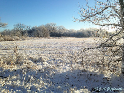 ice-snow dusting Norman, Oklahoma