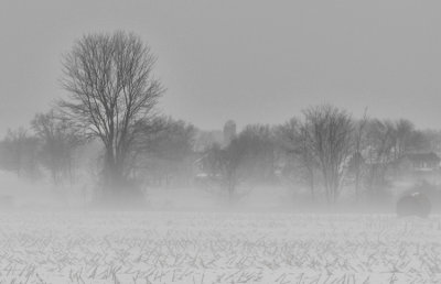 Snow Fog2