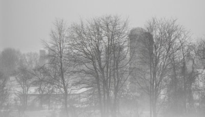 Snow Fog3