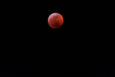 Blood Wolf Moon