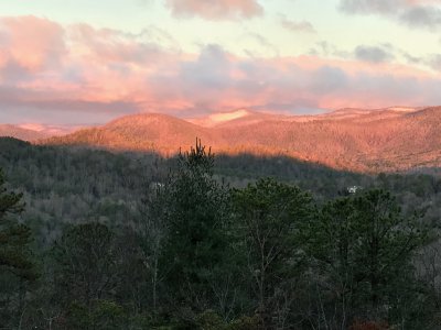 IMG_2870.jpg