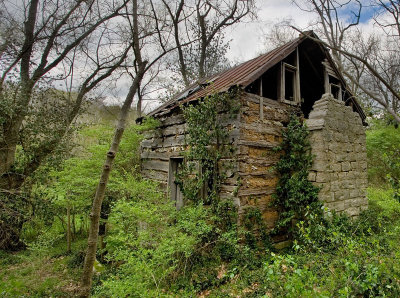 Slave Cabin, Woodford County