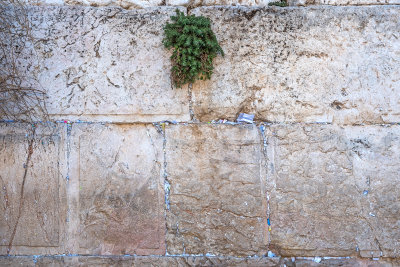 Western Wall Closeup