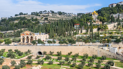 Basilica Agoniae Domini on left, Church of Mary Magdalene above right