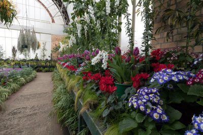 Auckland - Winter Gardens