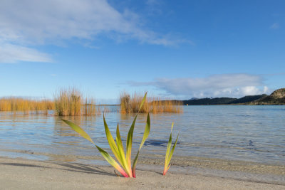 Kai Iwi Lakes