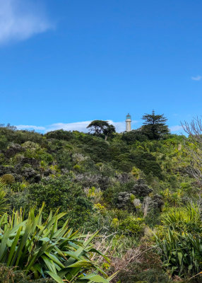 Tiritiri Matangi