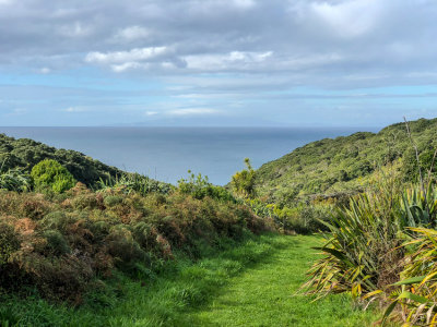 Tiritiri Matangi