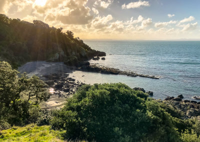 Tiritiri Matangi