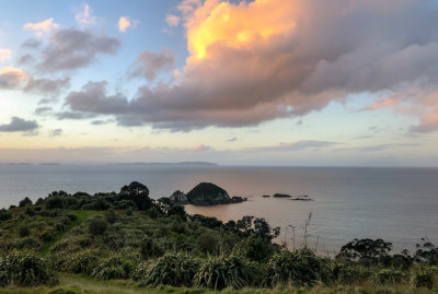 Tiritiri Matangi