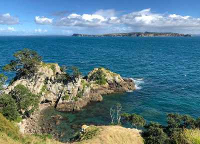 Tiritiri Matangi