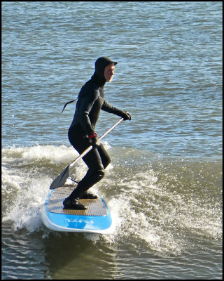 Paddle Surfing Guy