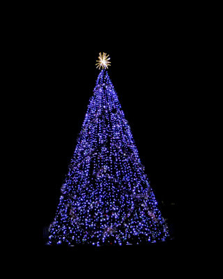 Winterfest of Lights 2018