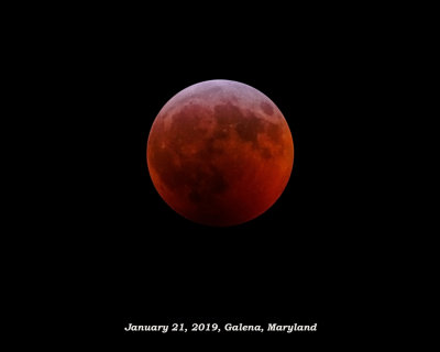 Super Blood Wolf Moon (around midnight)