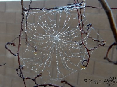 Pretty