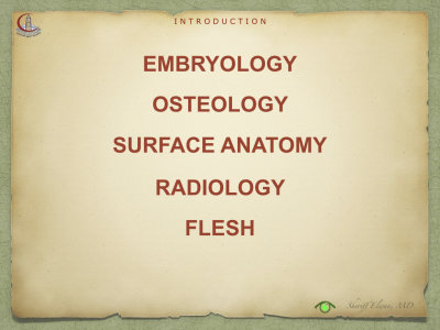 Introduction to Anatomy11.jpeg