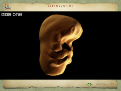 Introduction to Anatomy13.jpeg