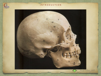 Introduction to Anatomy16.jpeg