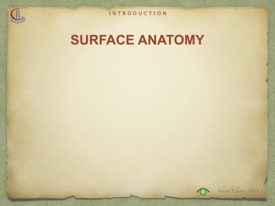 Introduction to Anatomy18.jpeg