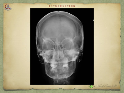 Introduction to Anatomy37.jpeg