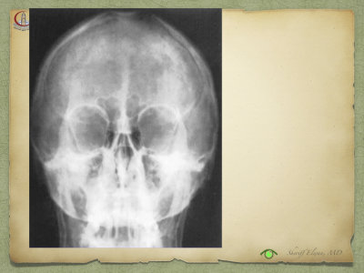 Introduction to Anatomy38.jpeg