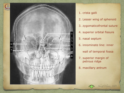 Introduction to Anatomy41.jpeg