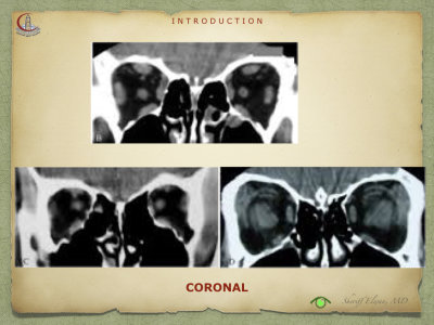 Introduction to Anatomy55.jpeg