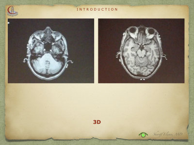 Introduction to Anatomy59.jpeg