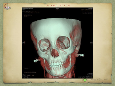 Introduction to Anatomy64.jpeg