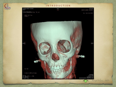 Introduction to Anatomy65.jpeg
