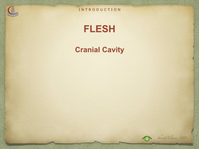 Introduction to Anatomy74.jpeg