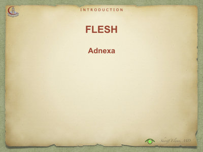 Introduction to Anatomy78.jpeg