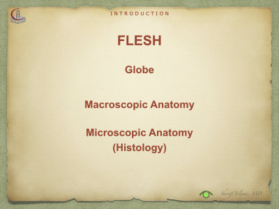 Introduction to Anatomy84.jpeg